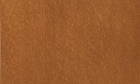 AM / Dark brown
