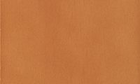 HB / Honey brown